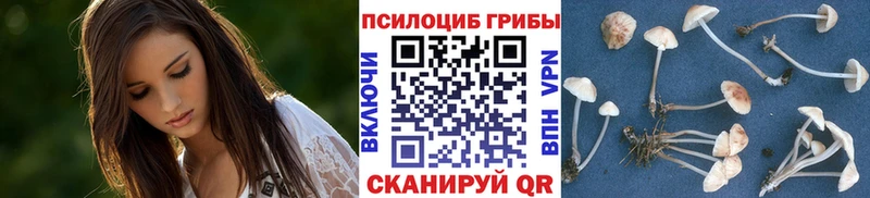 Купить где  Спасск-Дальний  Псилоцибиновые грибы MAGIC MUSHROOMS 